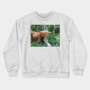 Scottish Highland Cattle Cow 2042 Crewneck Sweatshirt